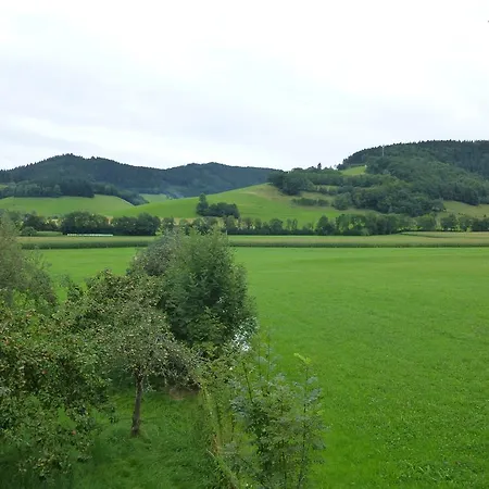 Gasthaus - Zum Hirschen בית הארחה