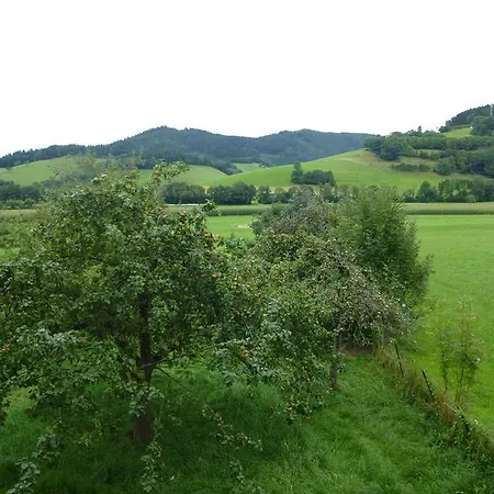 Gasthaus - Zum Hirschen